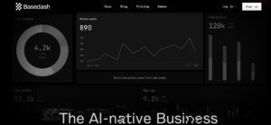 Read more about the article How to Use Basedash to Analyze Blog Performance